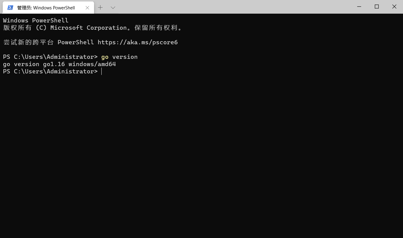 image-20210309221913230